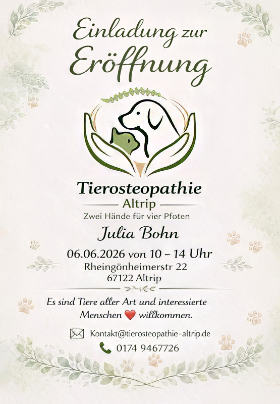 Tierosteopathie in Altrip ⭐ Bolonka Zwetna vom Bibastern
